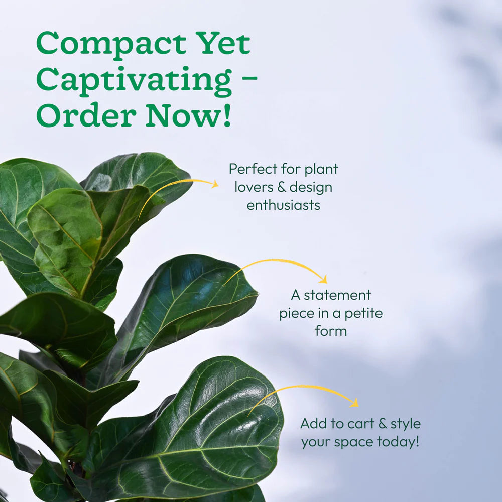 Green plant with promotional text on a blurred background